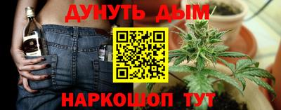 гидра Моздок